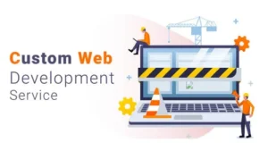 Blog 21 custom website development company1